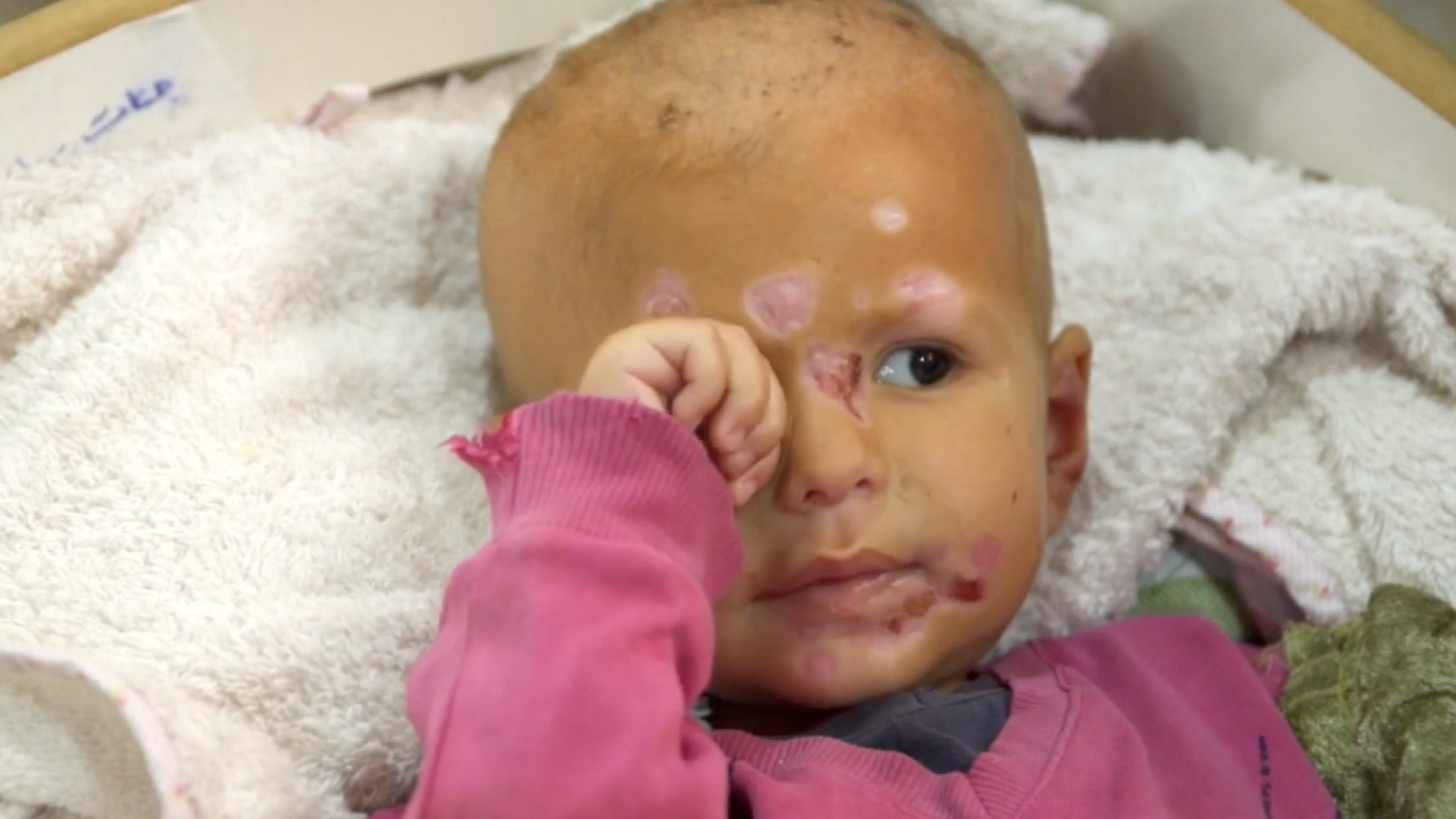 Syria, victims of the Califate